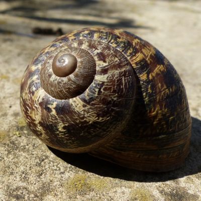 WERTVOLL LEBEN